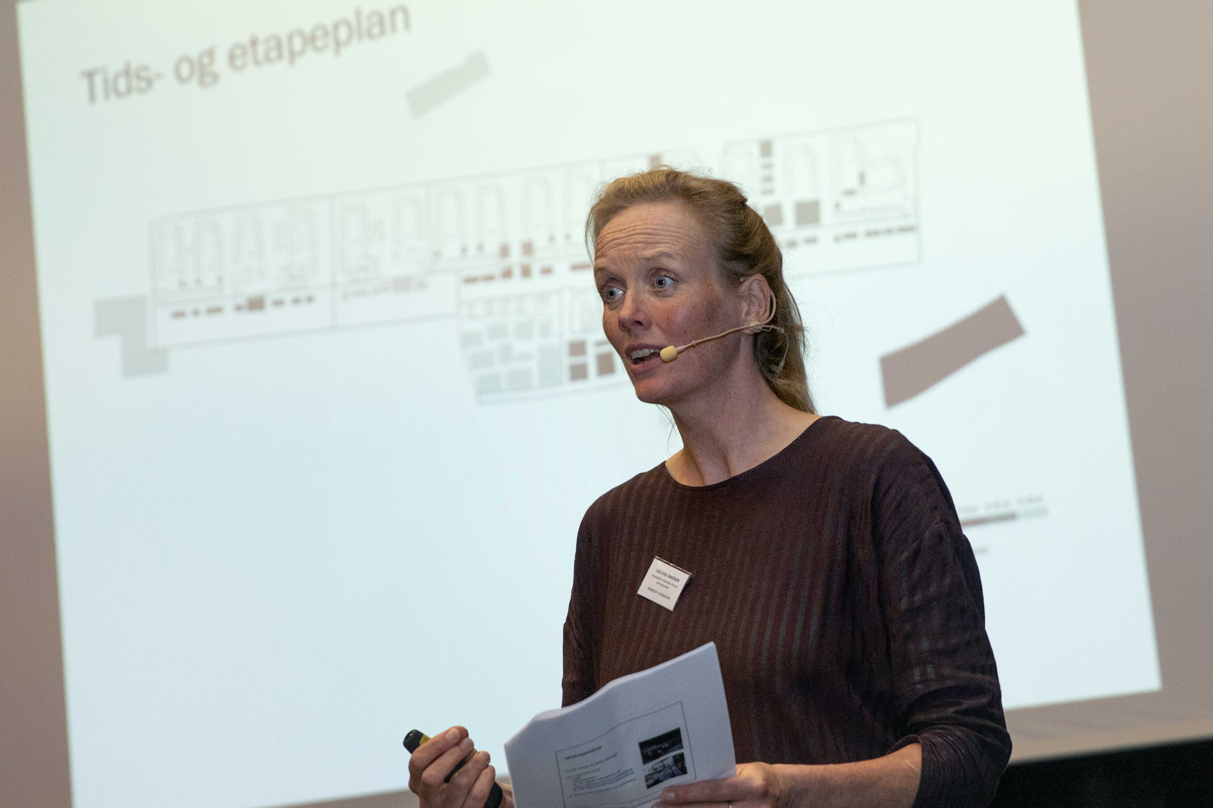 Programchef Lise Juul Madsen gav en status på processen